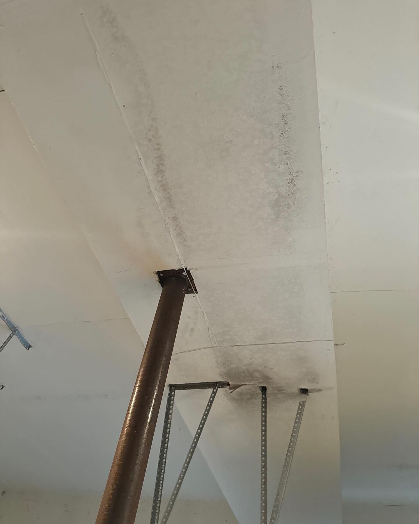 mold removal Long Island