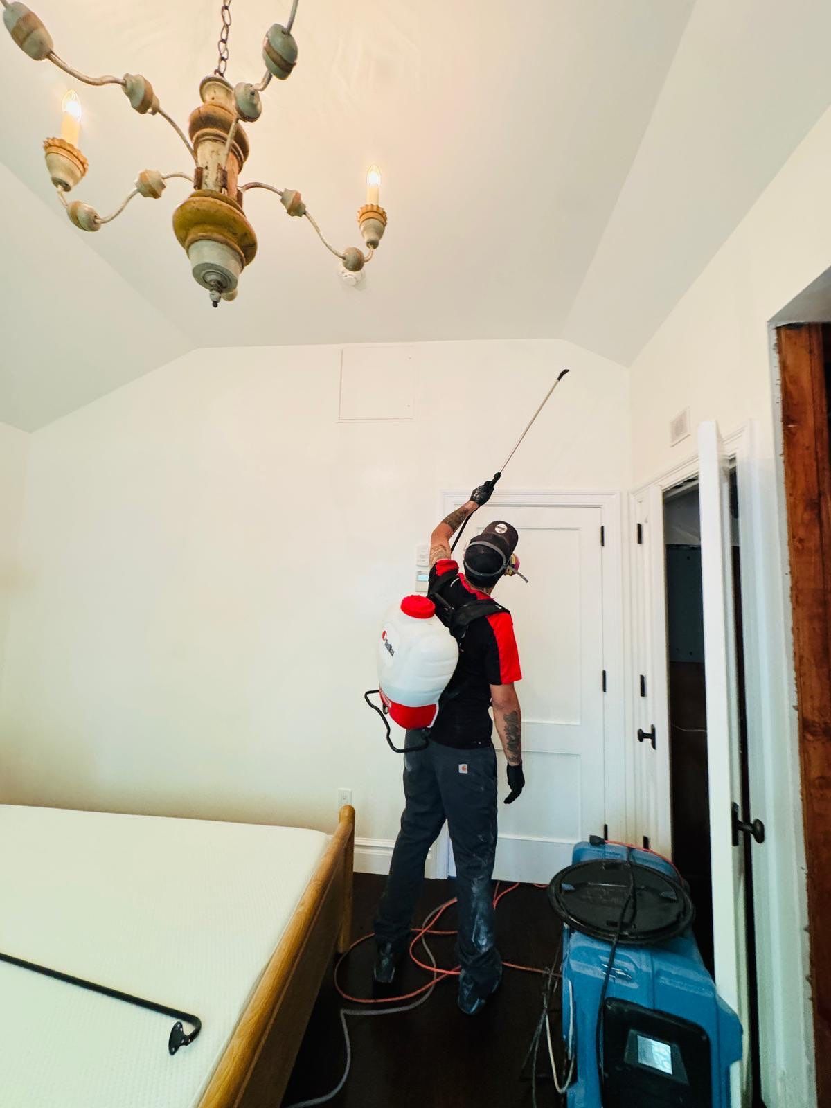 mold spraying inside home in East Setauket NY