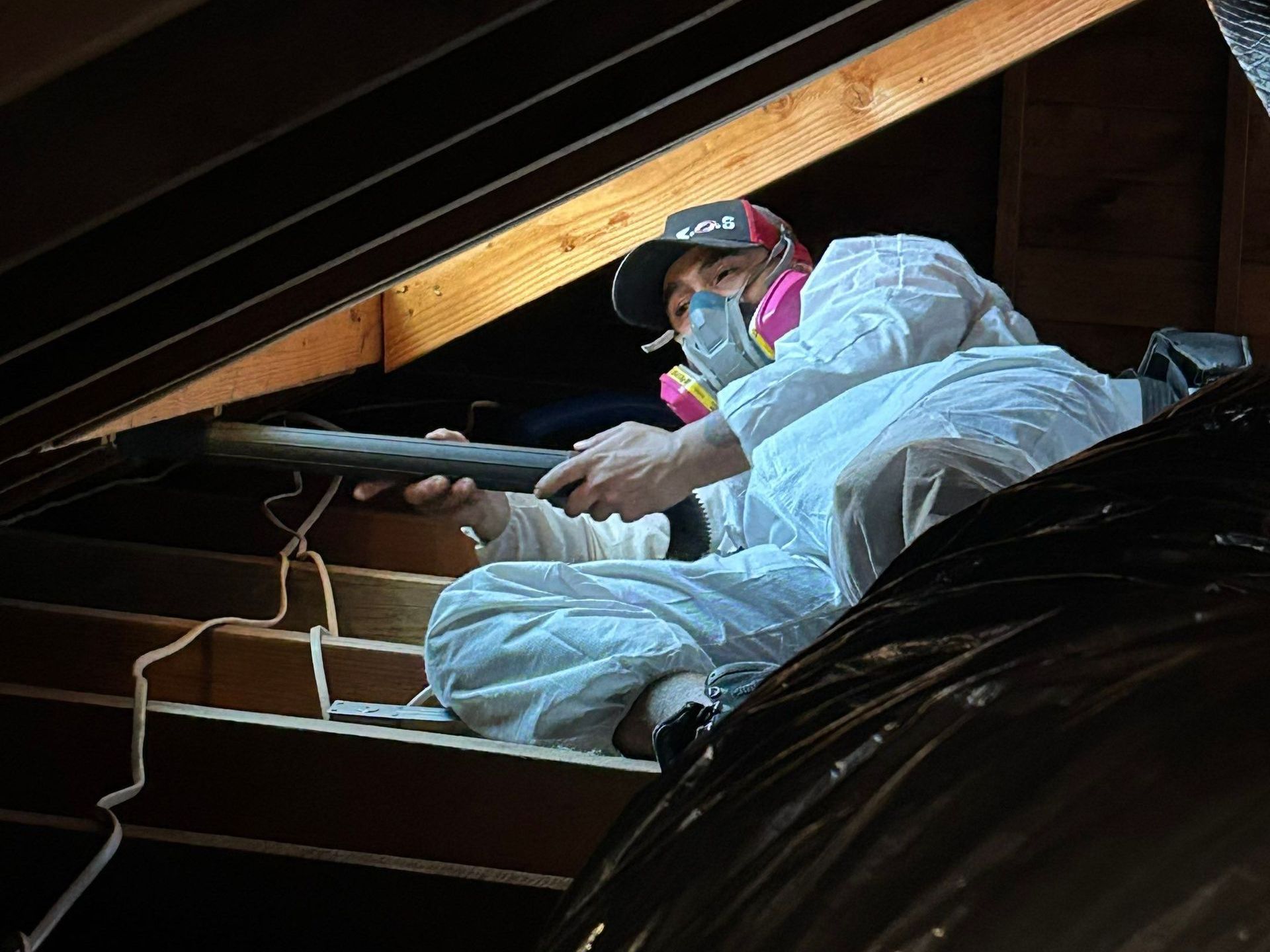 Attic mold remediation on Long Island