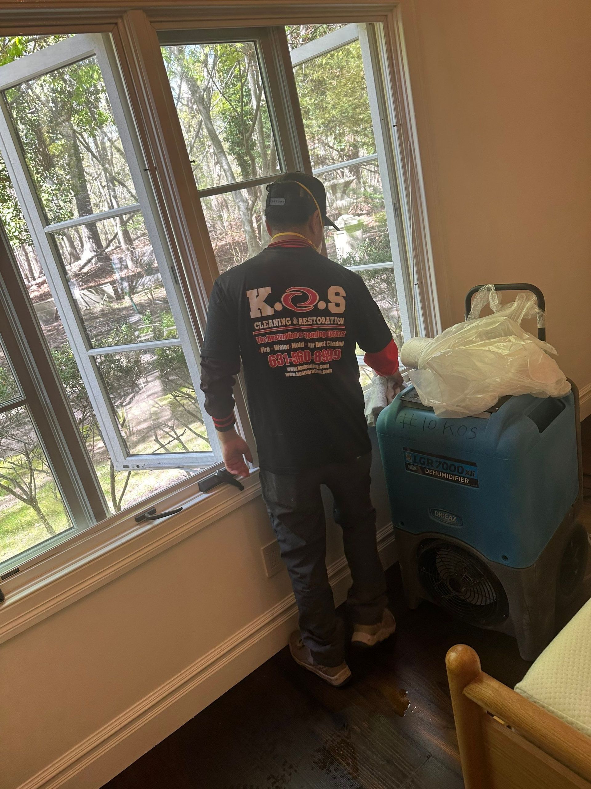 mold remediation in East Setauket NY