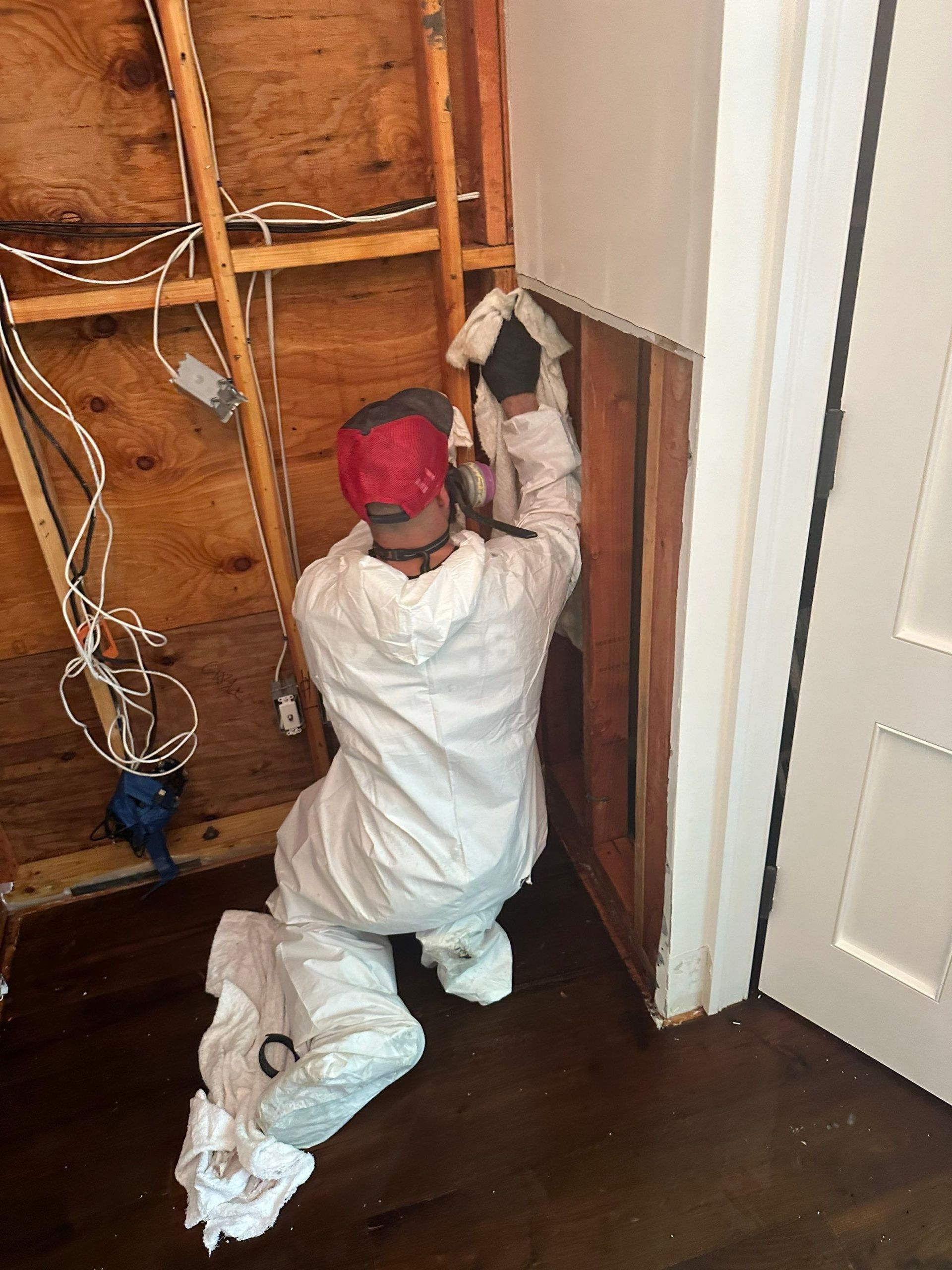mold remediation inside a home in East Setauket NY