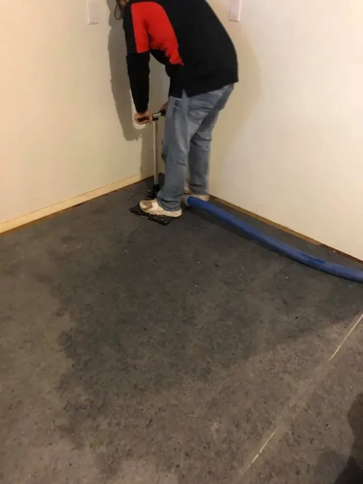 carpet drying services on Long Island 