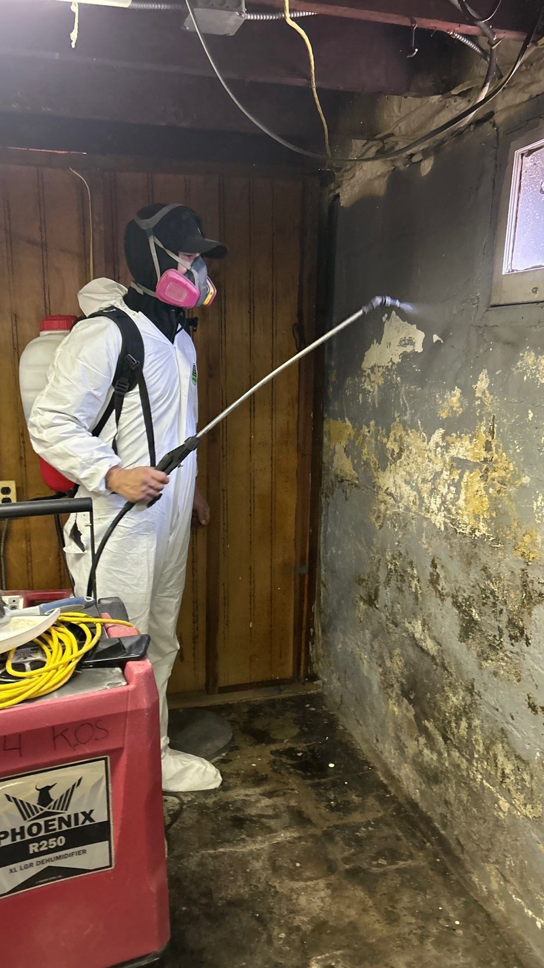 Mold Removal Long Island