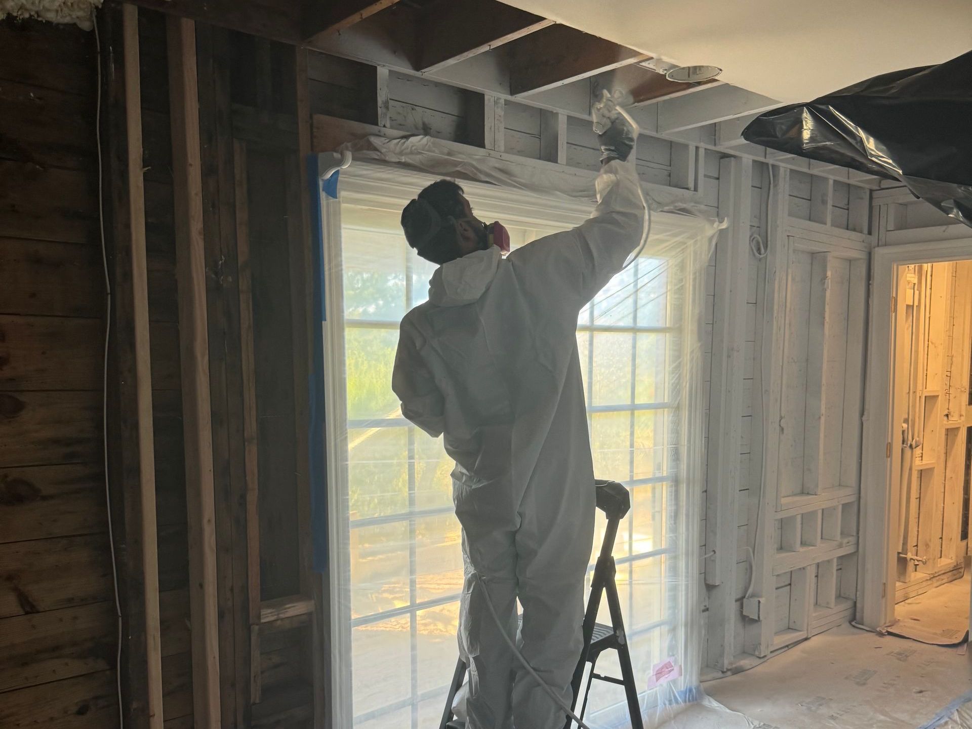 Mold encapsulation services on Long Island.