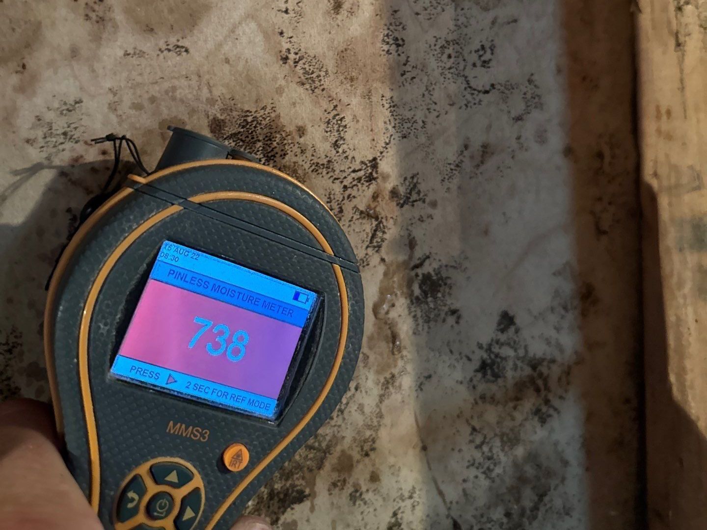 Summer Mold Prevention Tips