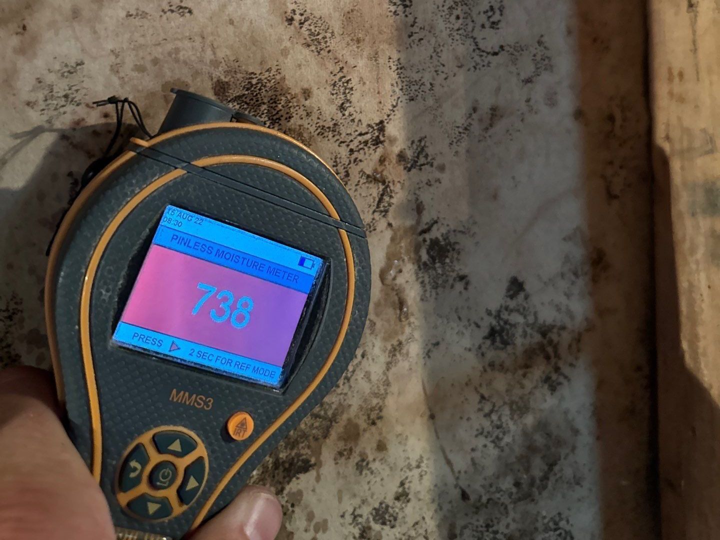 Water damage restoration and mold remediation on Long Island 