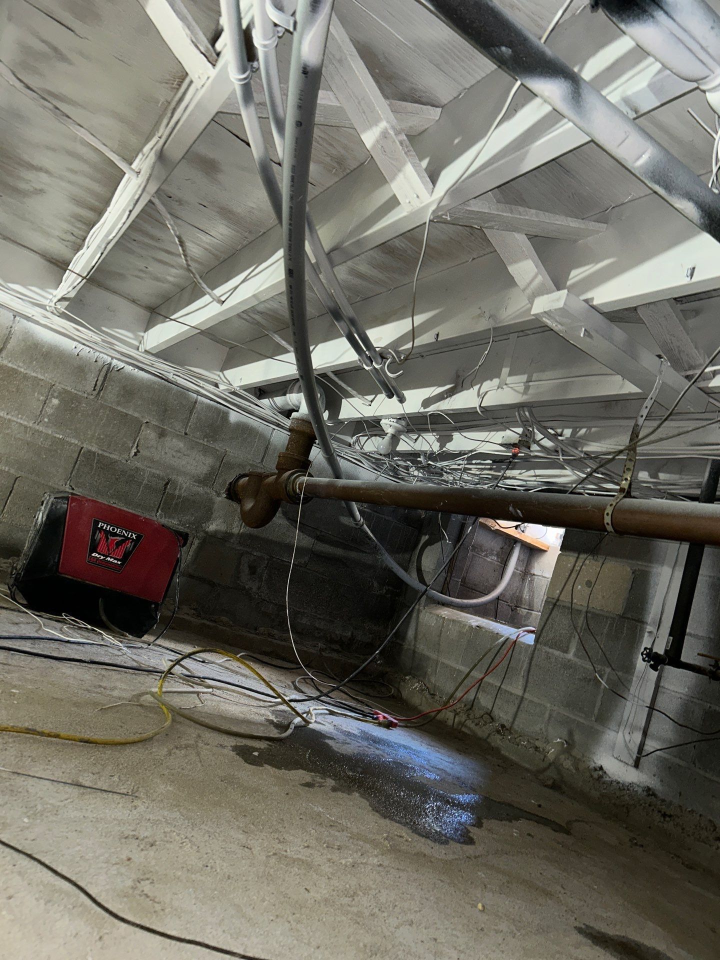 Crawlspace mold encapsulation on Long Island