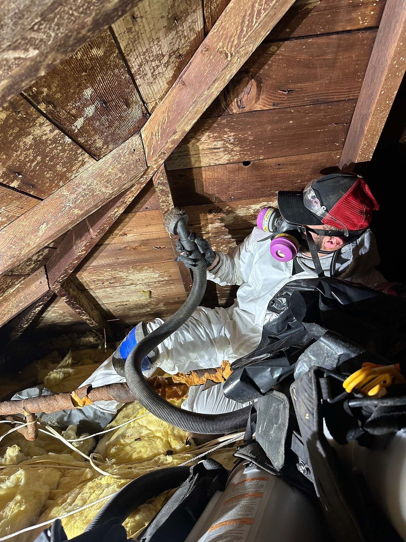 attic mold remediation HEPA vacuuming Long Island