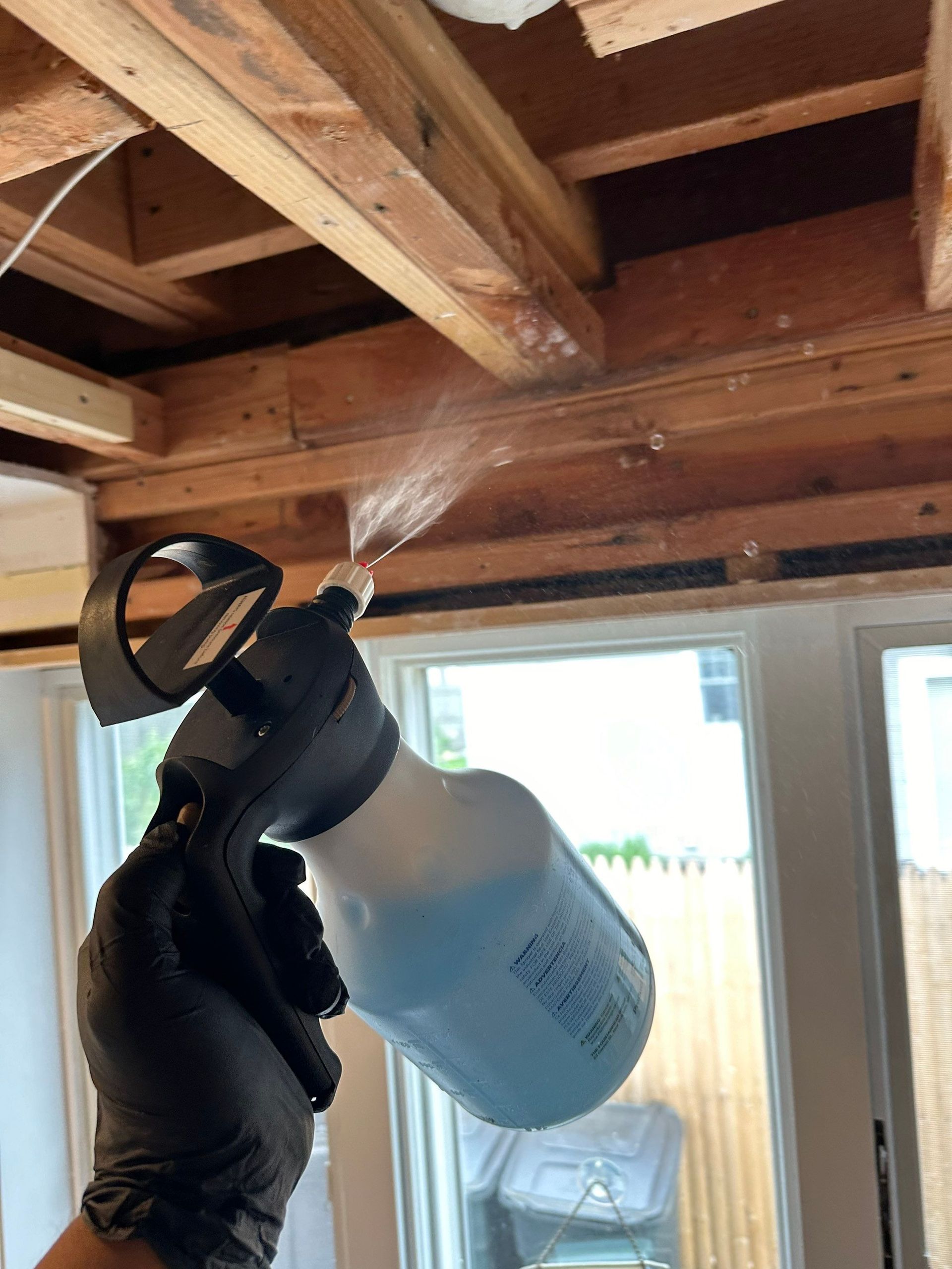 Treating mold the was found at a Long Island home after a concern of musty odors.