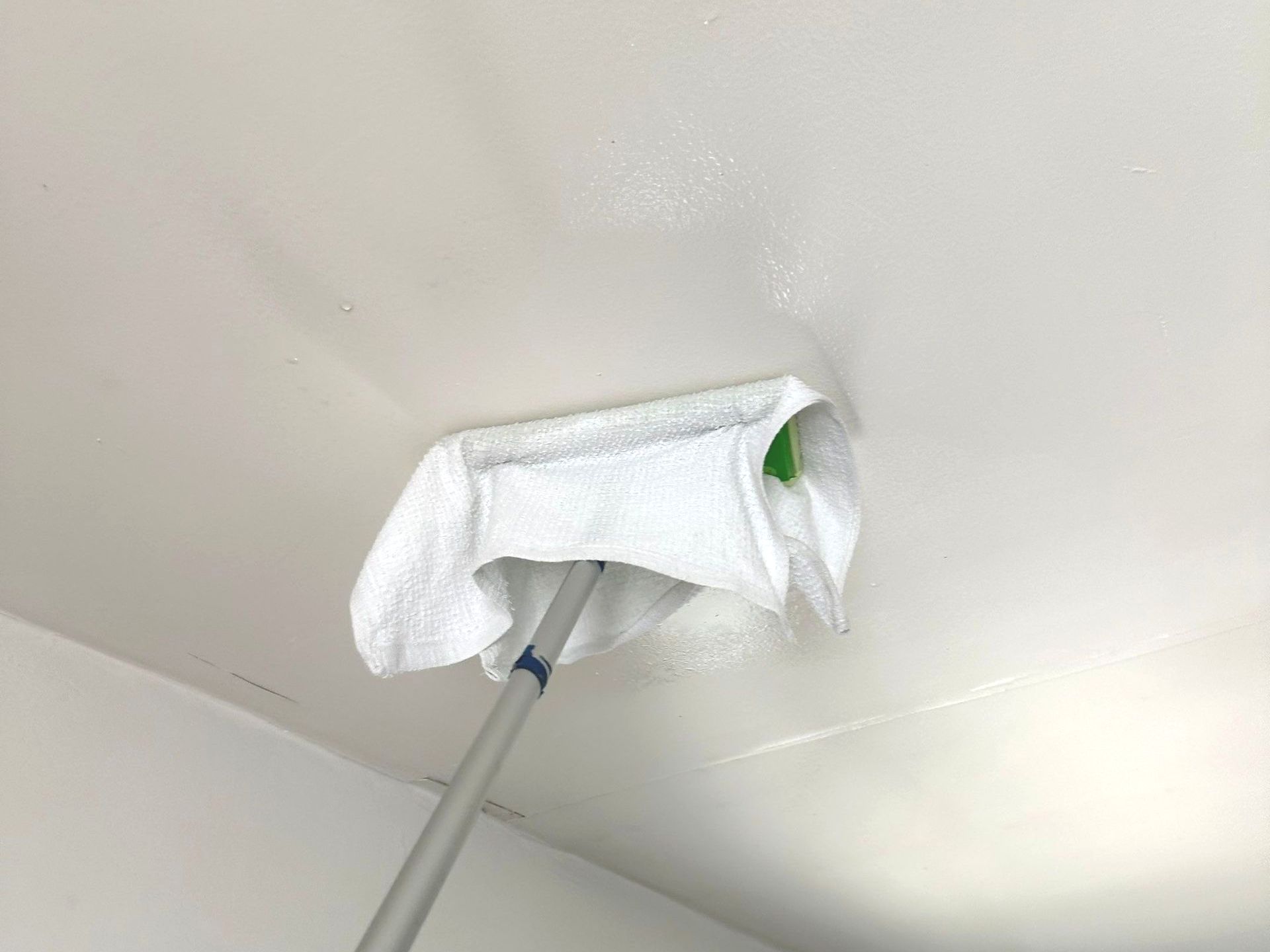 Mold removal in Suffolk county at a home in Shirley New York.