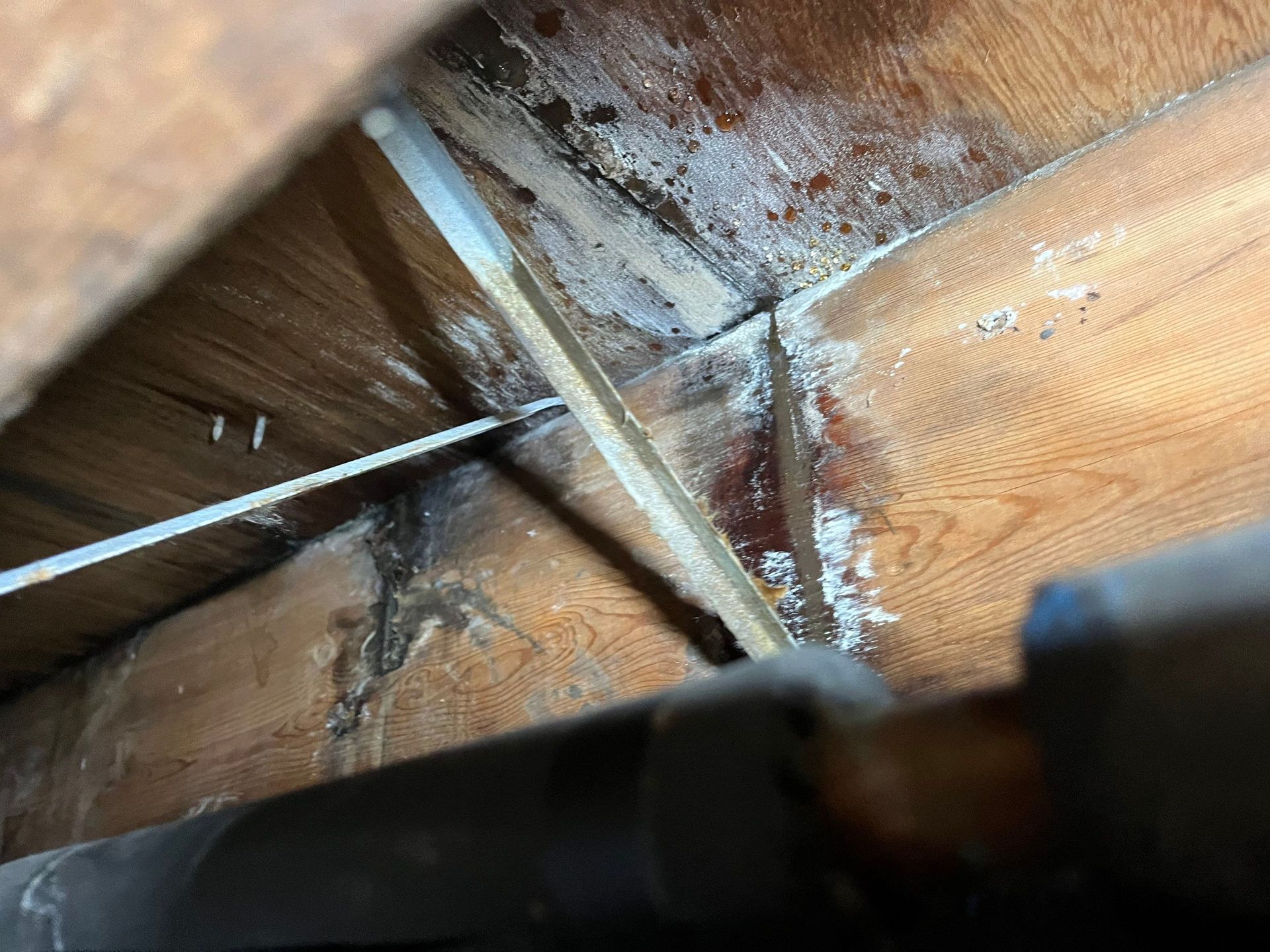 Mold growth in crawlspace in Westhampton Beach, NY