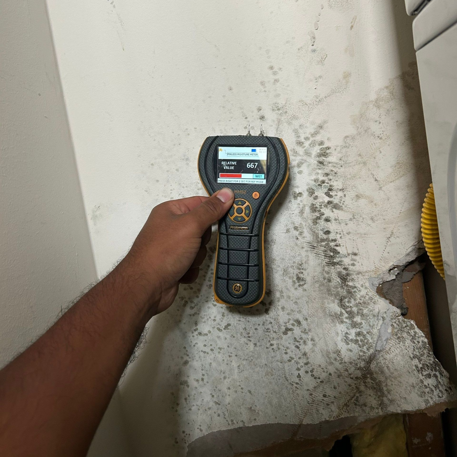 moisture reading at home with mold growth in need of mold testing and mold remediation 