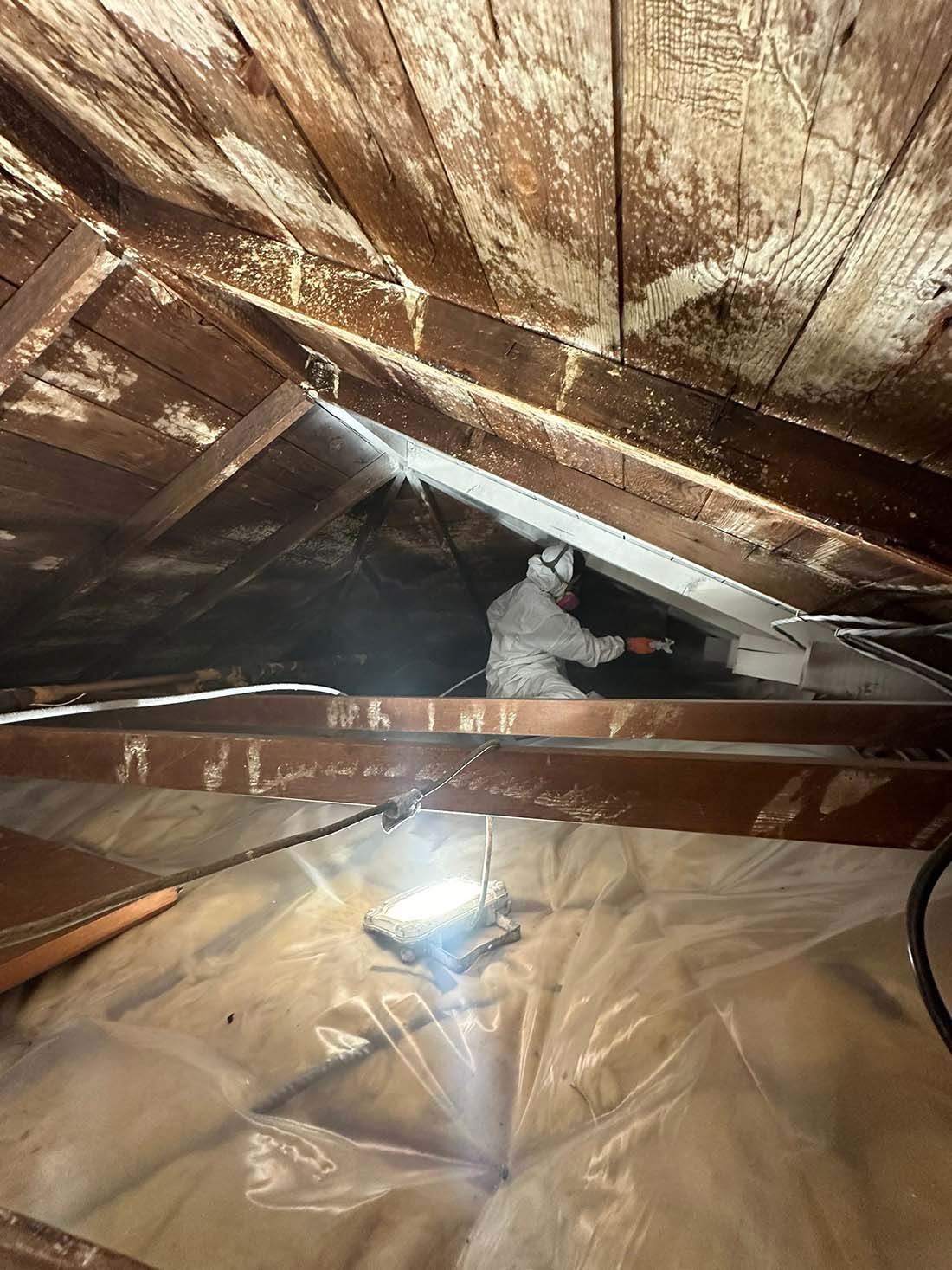 Attic Mold Encapsulation Long Island