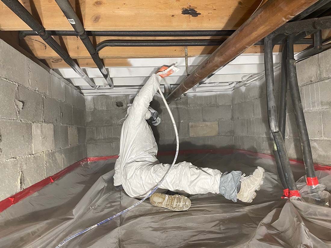 Mold Encapsulation for Basements and Crawl Spaces