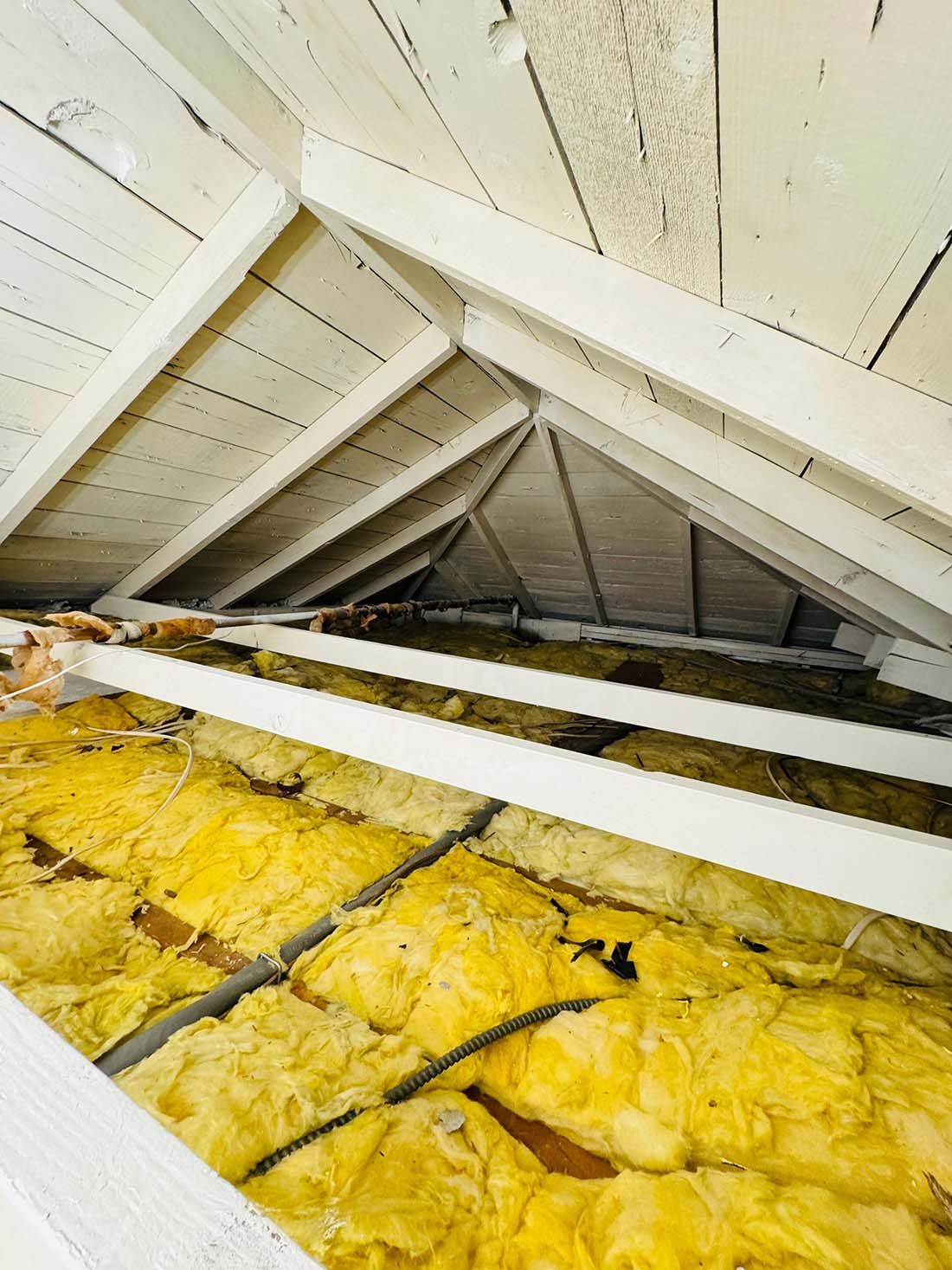 Mold Encapsulation in Attic Suffolk County NY