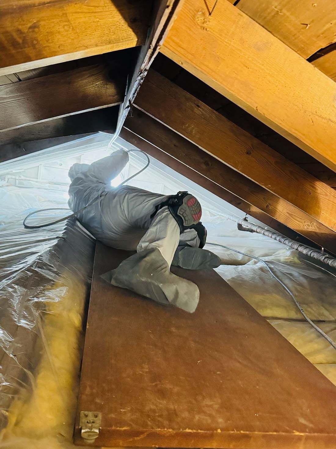Mold Encapsulation Suffolk County NY