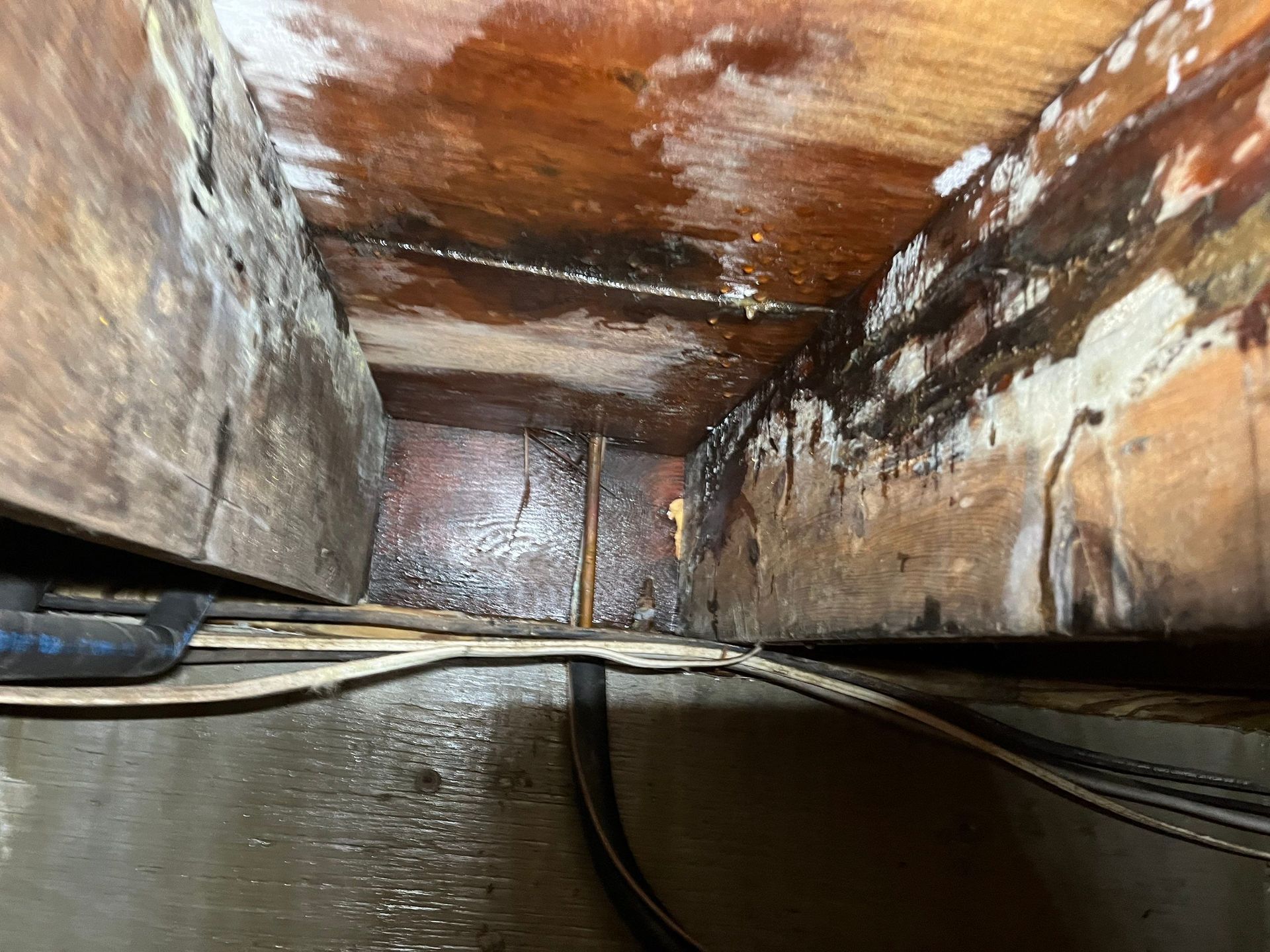 Mold on floor joists and subfloor after flood at home in Westhampton Beach NY