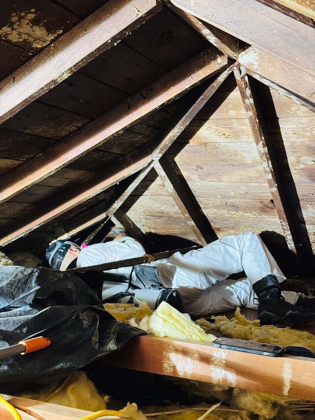 attic mold remediation Long Island