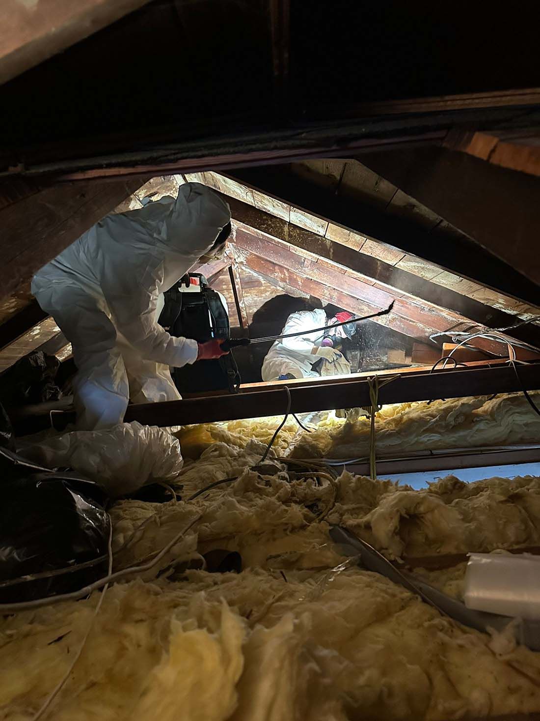 Attic Mold Remediation Long Island