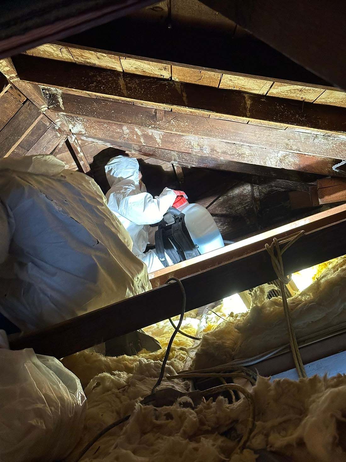 IICRC Mold Remediation Long Island
