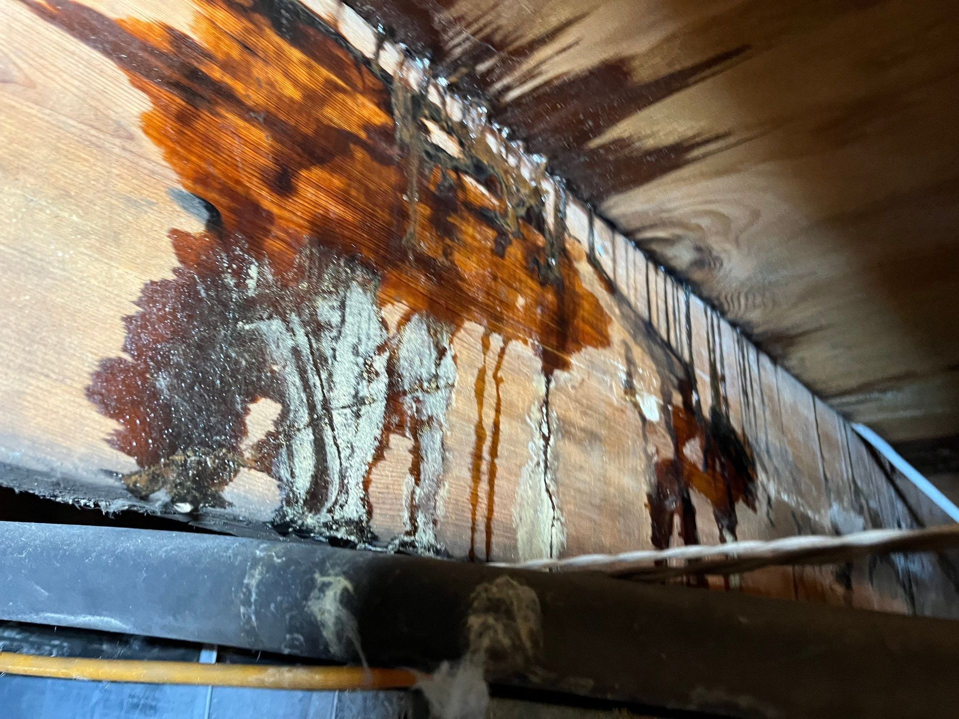Mold growth in crawlspace after flood at home in Westhampton Beach NY