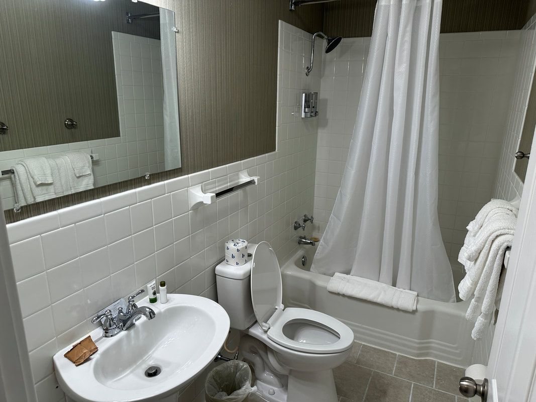 A bathroom with a toilet , sink , shower and mirror.