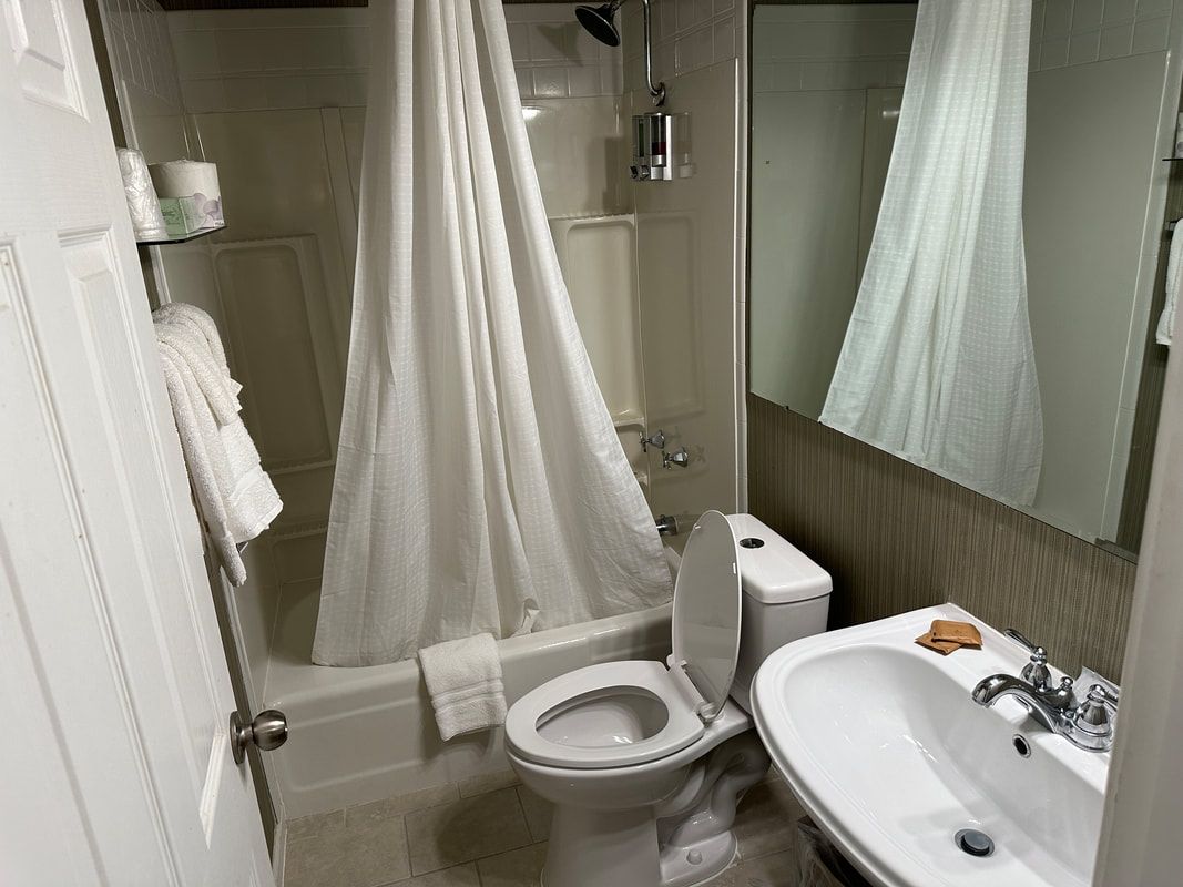 A bathroom with a toilet , sink , shower and mirror.