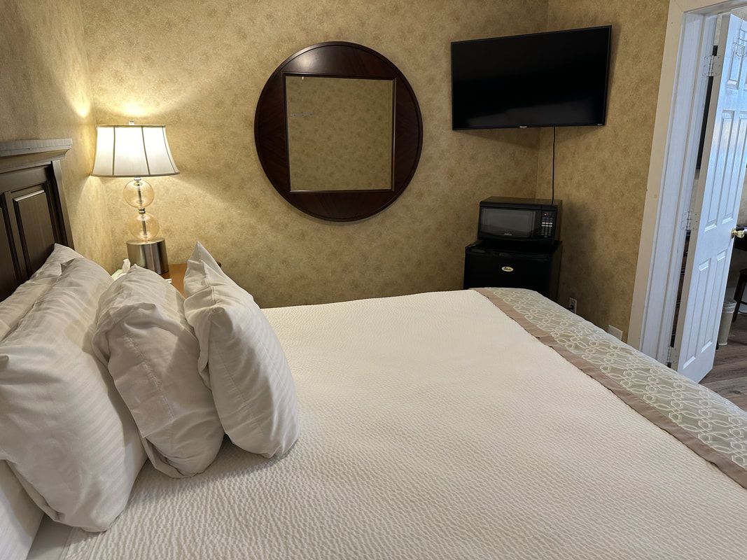 A hotel room with a bed , television , lamp and mirror.