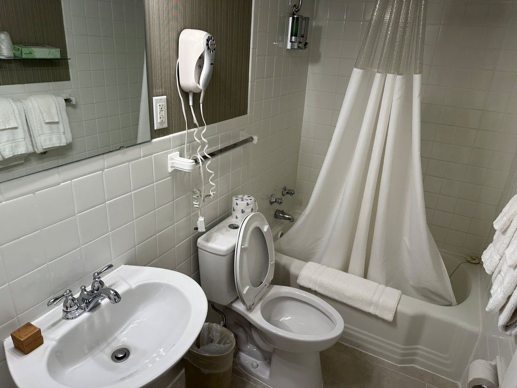 A bathroom with a toilet , sink , shower and mirror.