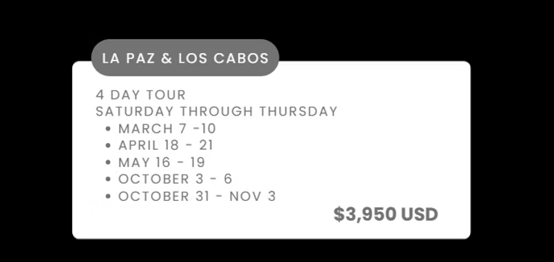 La Paz & Los Cabos 4-day tour dates and $3,950 USD pricing on white card
