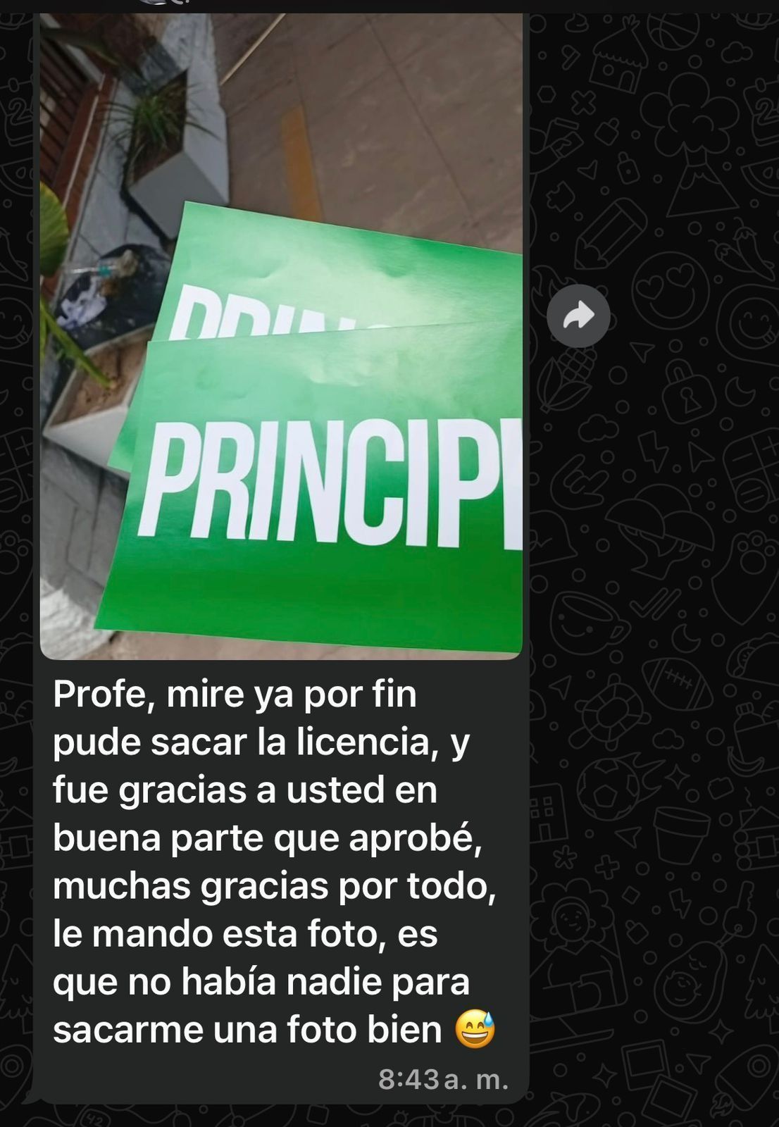 Un cartel verde con la palabra “PRINCIPI…” y un mensaje de disculpa en español en una captura de pantalla del chat.