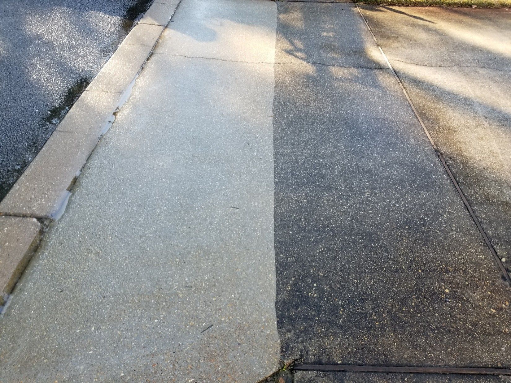 Heavily stained concrete driveway with algae and oil stains in Gulf Coast Florida