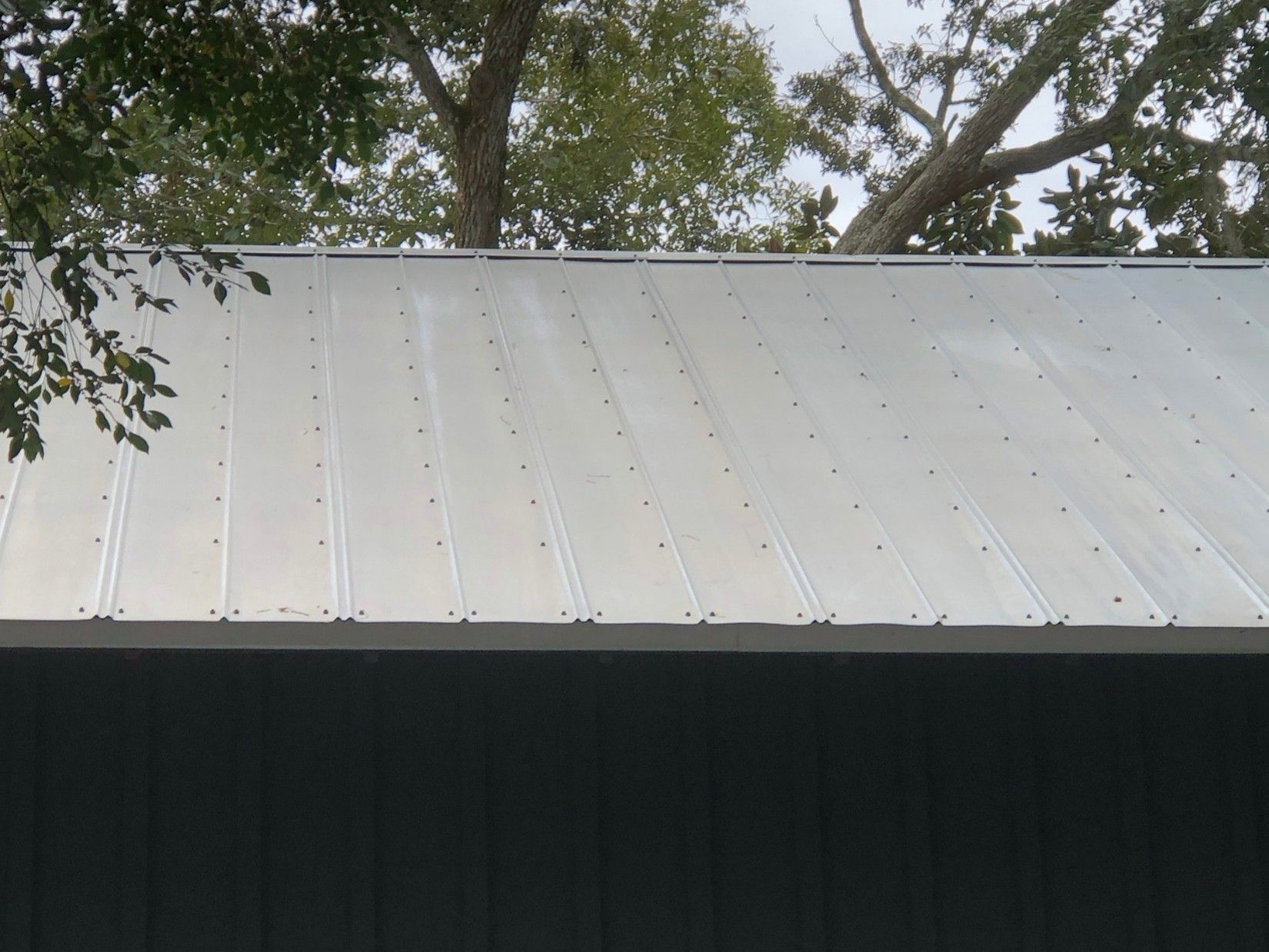 White metal roof with green siding beneath and tree branches above White metal roof with green siding beneath and tree branches above