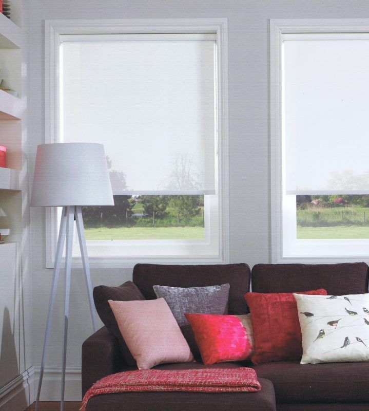 Living Room With White Roller Blinds — Abundance Blinds In Charmhaven, NSW