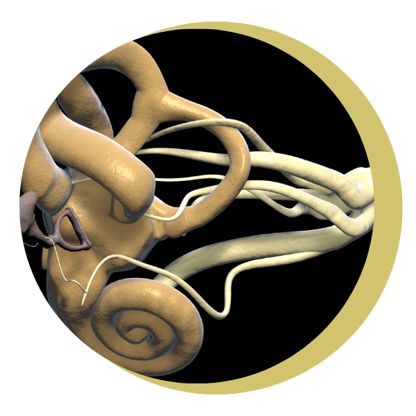 Two people are pulling a rope in opposite directions.