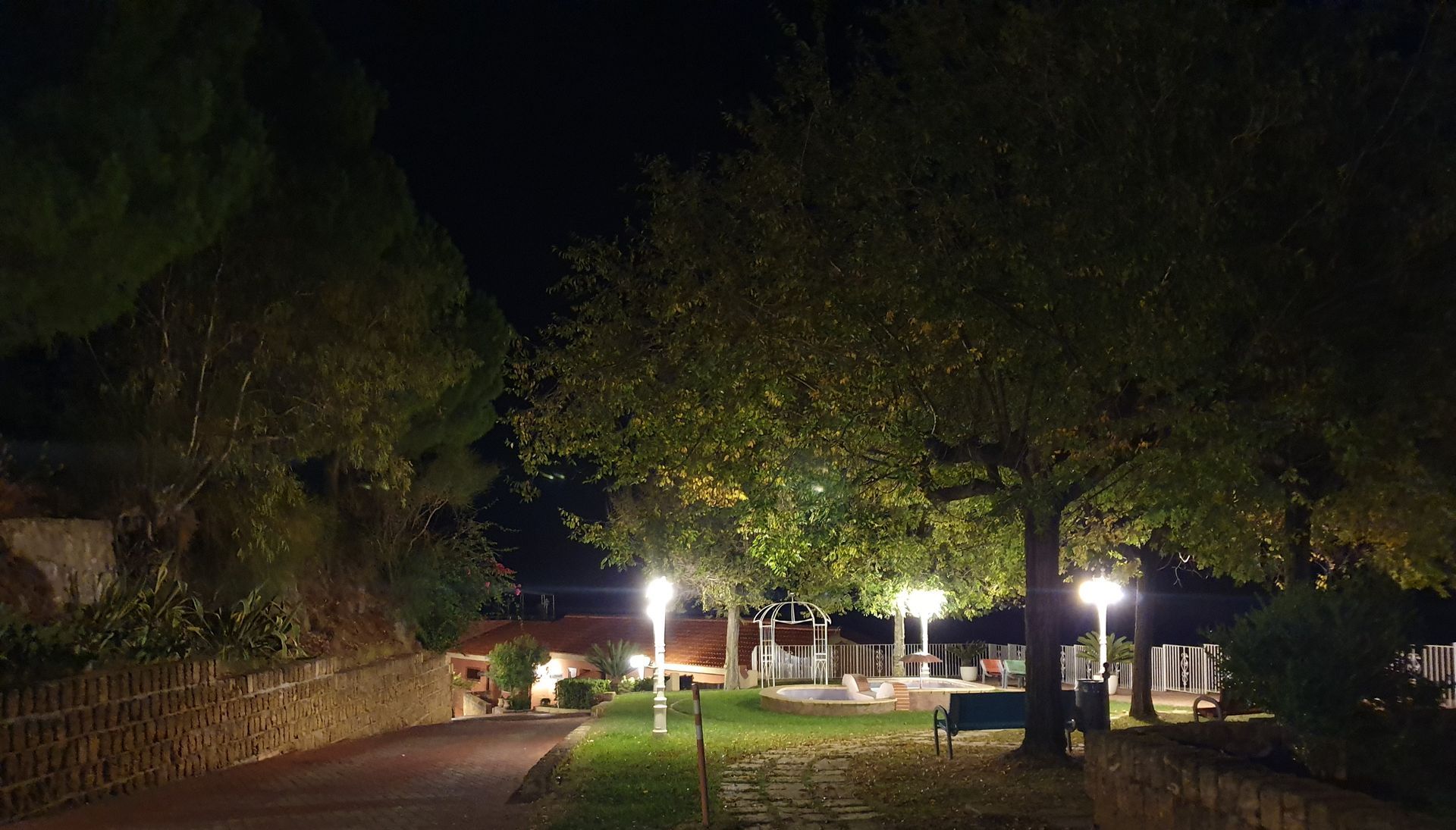 Un parco è illuminato di notte con alberi e lampioni.