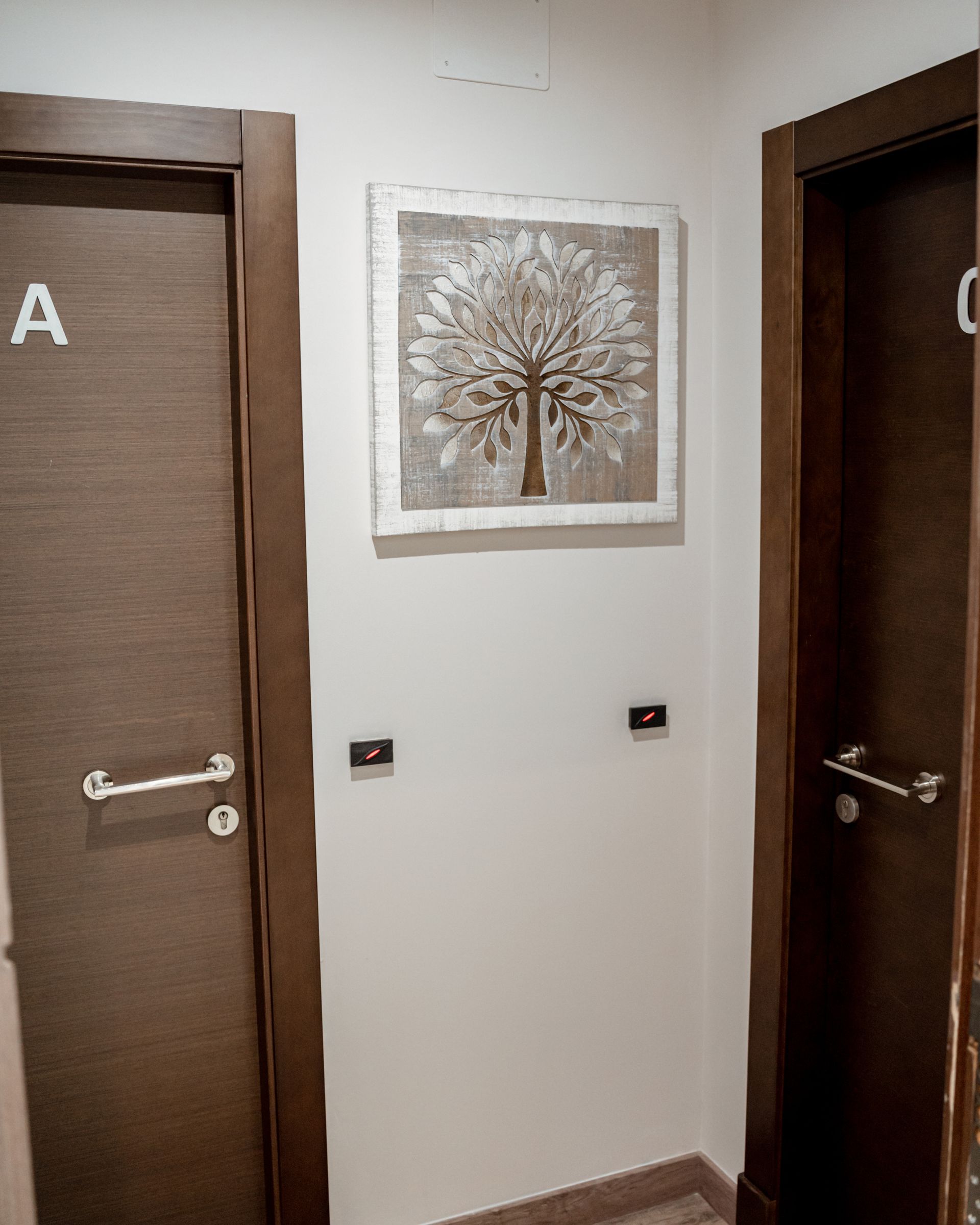 Pasillo con puertas marrones con las letras A y O, paredes blanquecinas. Una obra de arte con un árbol cuelga de la pared.