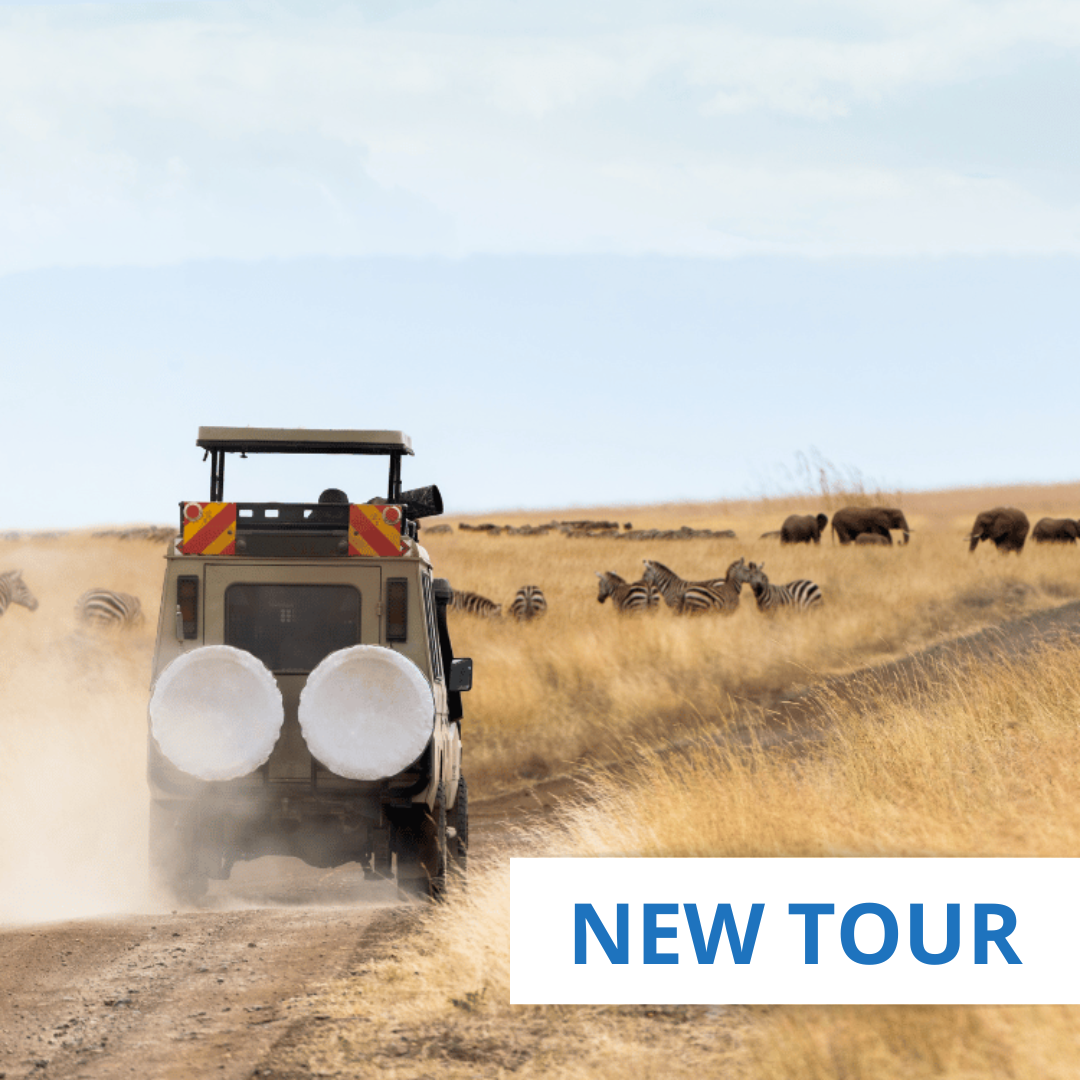 South Africa, Victoria Falls, & Botswana Adventure