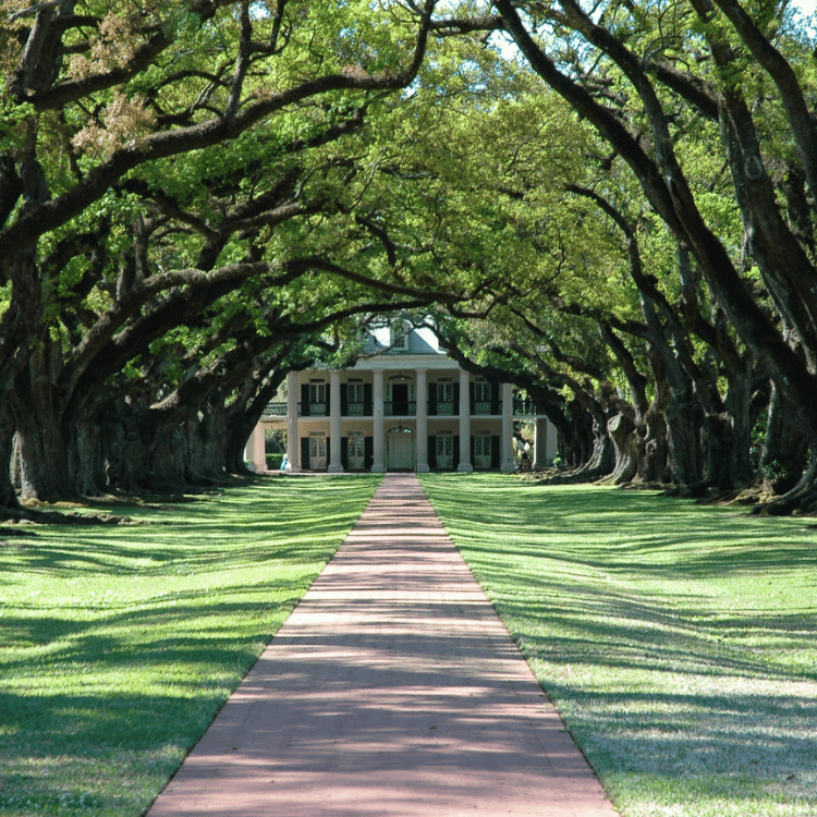 Charleston & Savannah