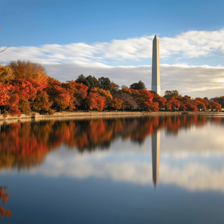 Fall in DC 