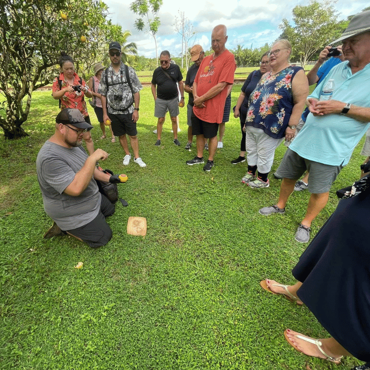 Group of people watching a man kneeling on grass, demonstrating a game with wood and a ball.