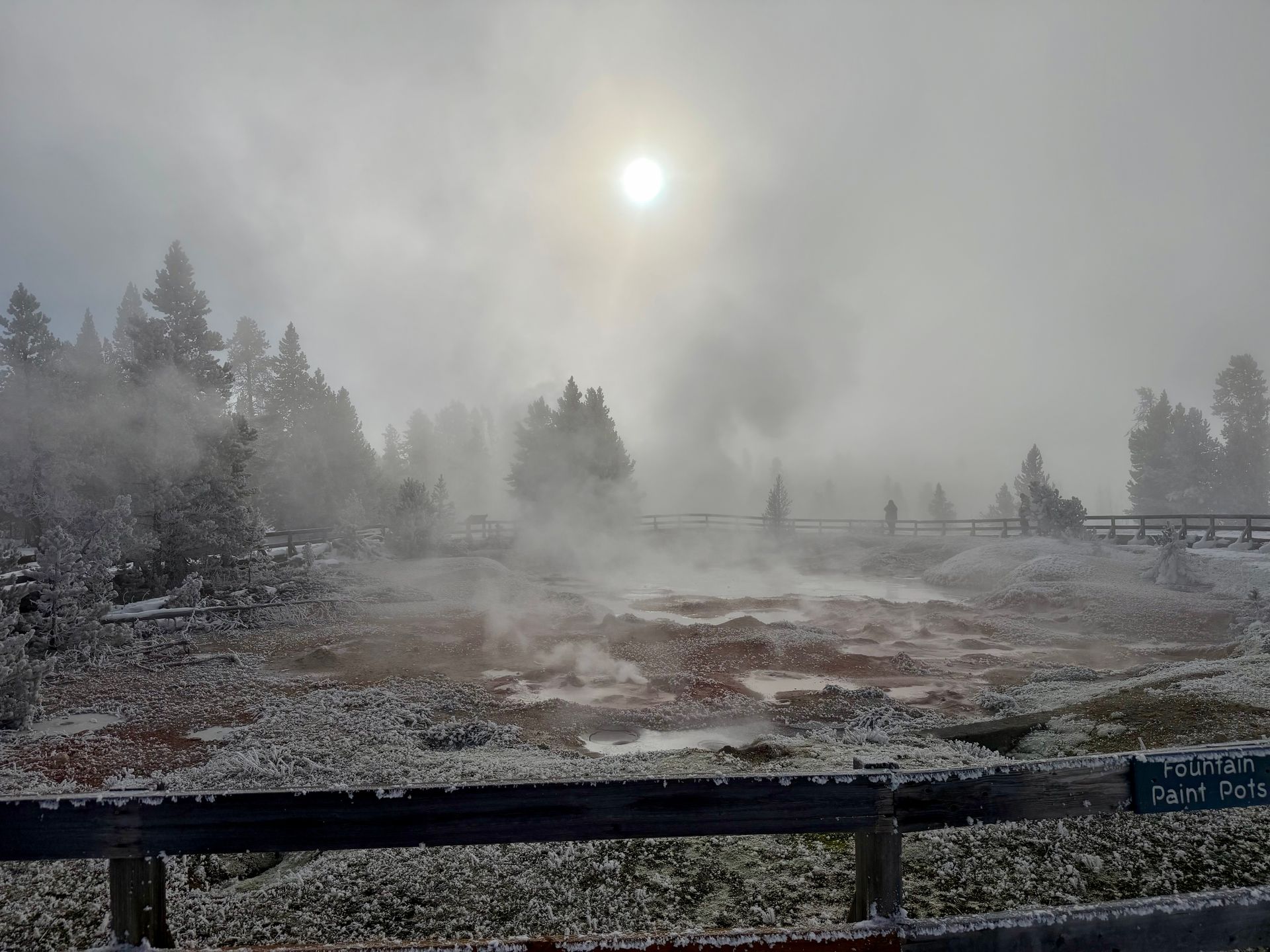 Steaming thermal area in Yellowstone National Park with frost-covered trees and a bright sun in a hazy sky.