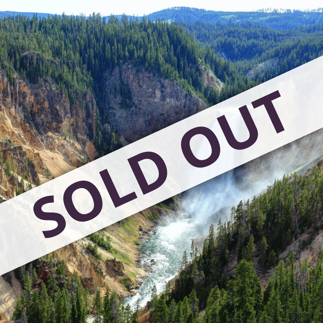 NE Yellowstone & the Tetons Experience 2026