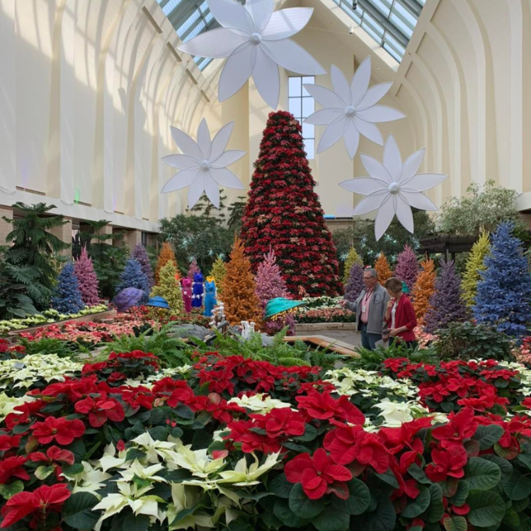 STL Classic Omaha Christmas