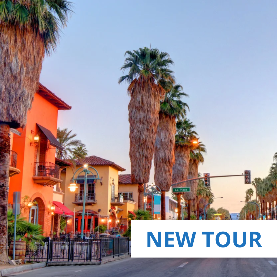 Palm Springs & Joshua Tree Winter Retreat