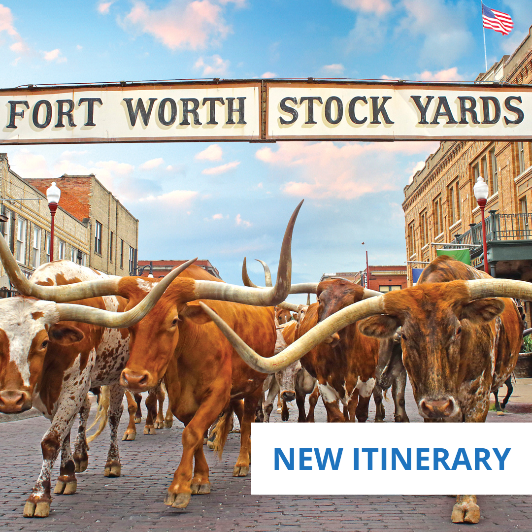 Texas Lone Star State