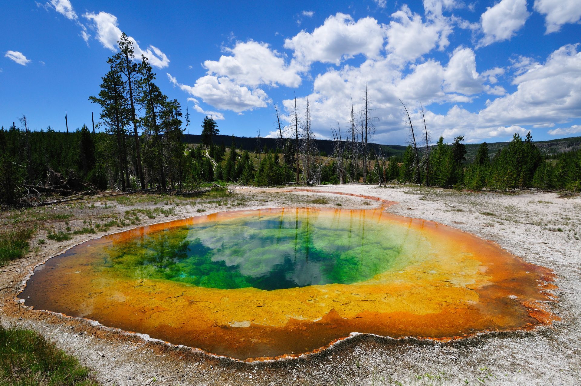 STL Yellowstone & the Tetons 2027