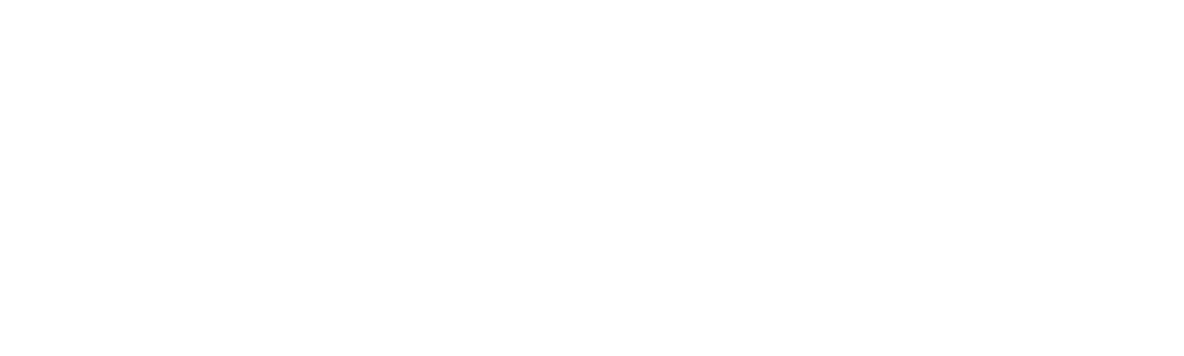 29th Street white logo.