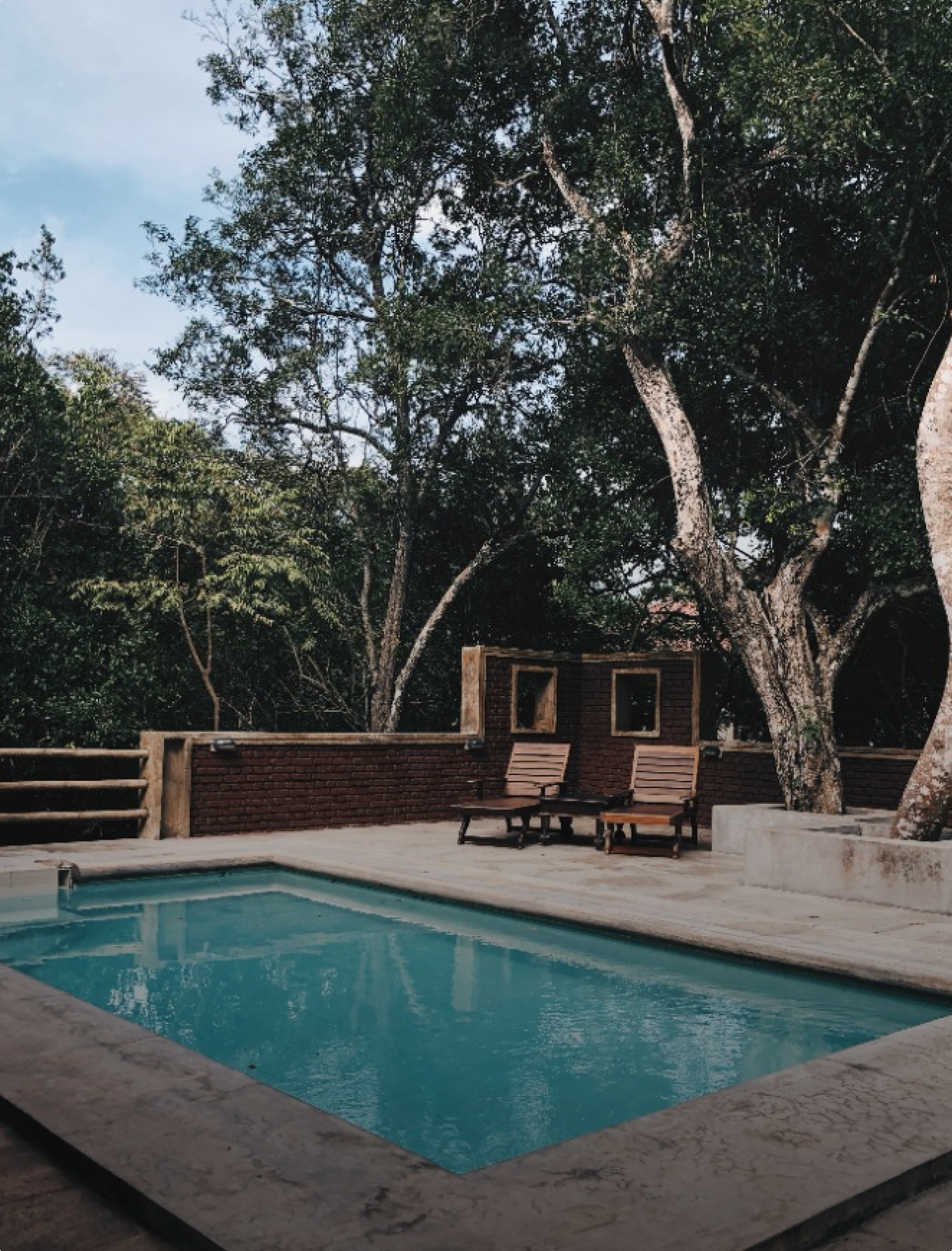 A large swimming pool surrounded by trees and chairs