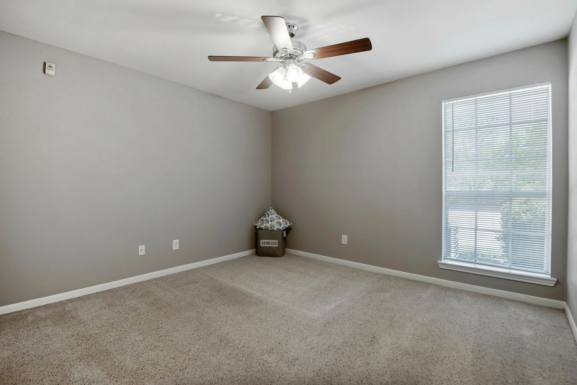 Vacant bedroom with gray walls, plush carpet, ceiling fan, and a window with blinds.